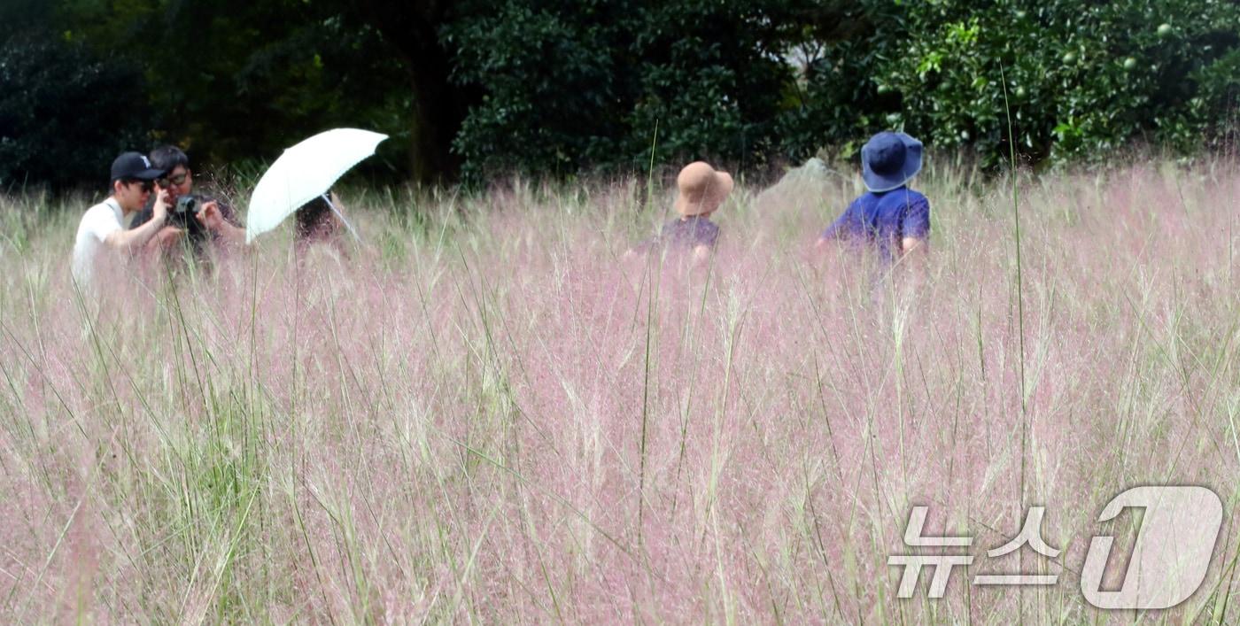 본문 이미지 - 제주 서귀포시 남원읍 휴애리자연생활공원./뉴스1