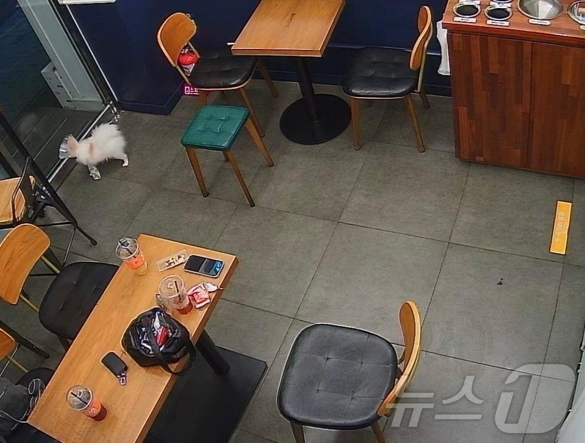 본문 이미지 - ('아프니까 사장이다' 갈무리)