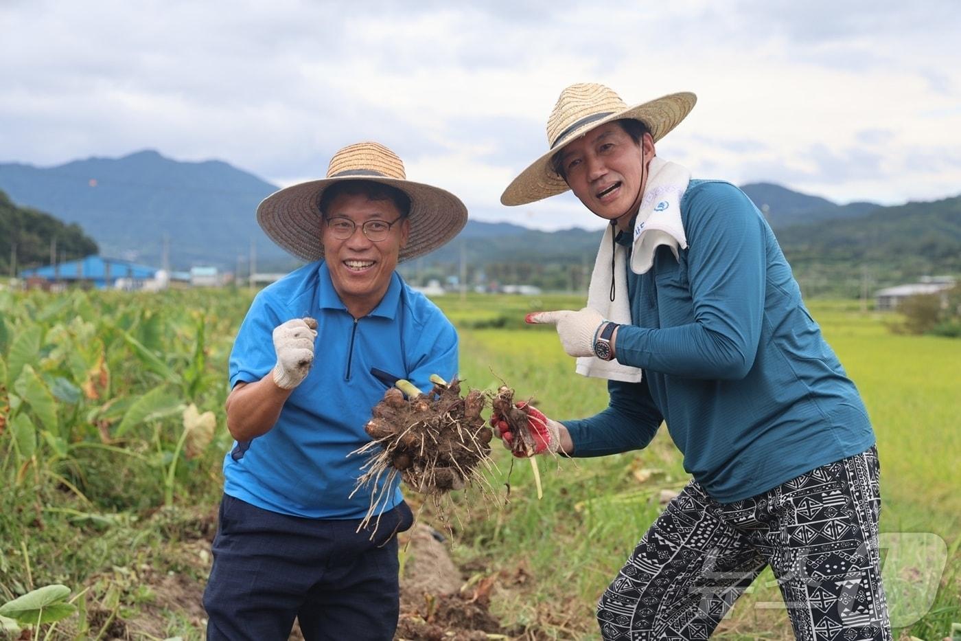 몸빼바지를 입은 조국 조국혁신당 대표가 16일 전남 곡성군 겸면에서 박웅두 곡성군수 재선거 후보와 토란 수확 일손 돕기에 나서고 있다.(조국혁신당 제공)2024.9.18./뉴스1