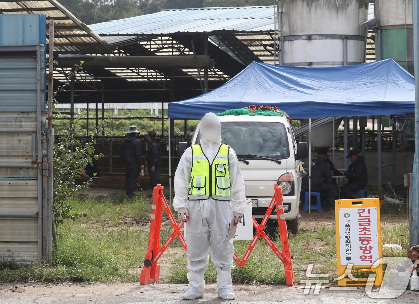 본문 이미지 - 럼피스킨 발생 농장 통제.&#40;뉴스1 DB&#41;