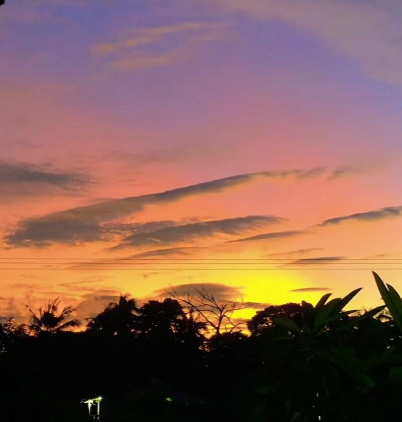 본문 이미지 - 사진=이민정 SNS 캡처