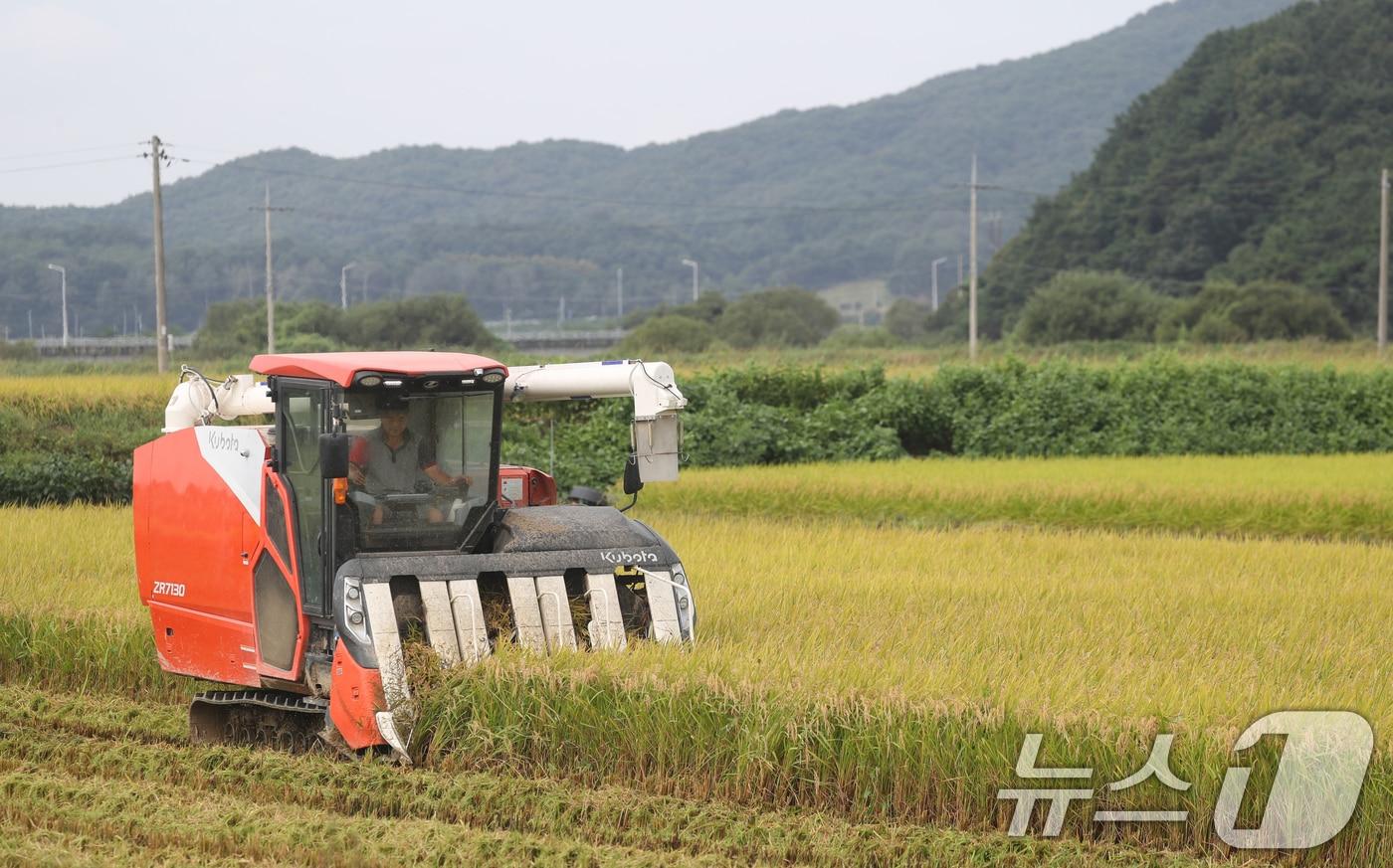 (사진은 기사 내용과 무관함) / 뉴스1 ⓒ News1