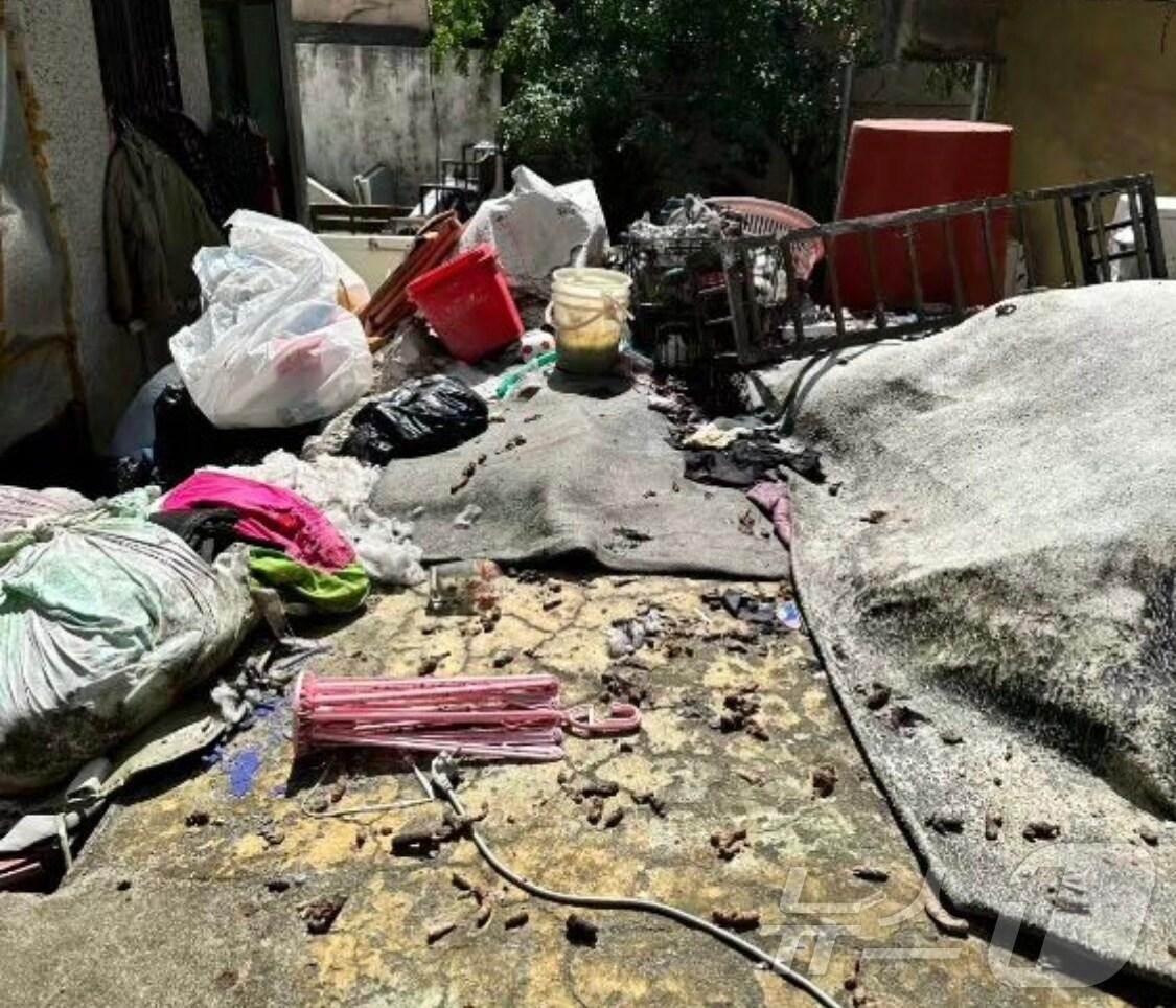 본문 이미지 - 부산 사하구 학대 추정 강아지 27마리 구조 현장.(동물보호단체 위액트 인스타그램 갈무리)