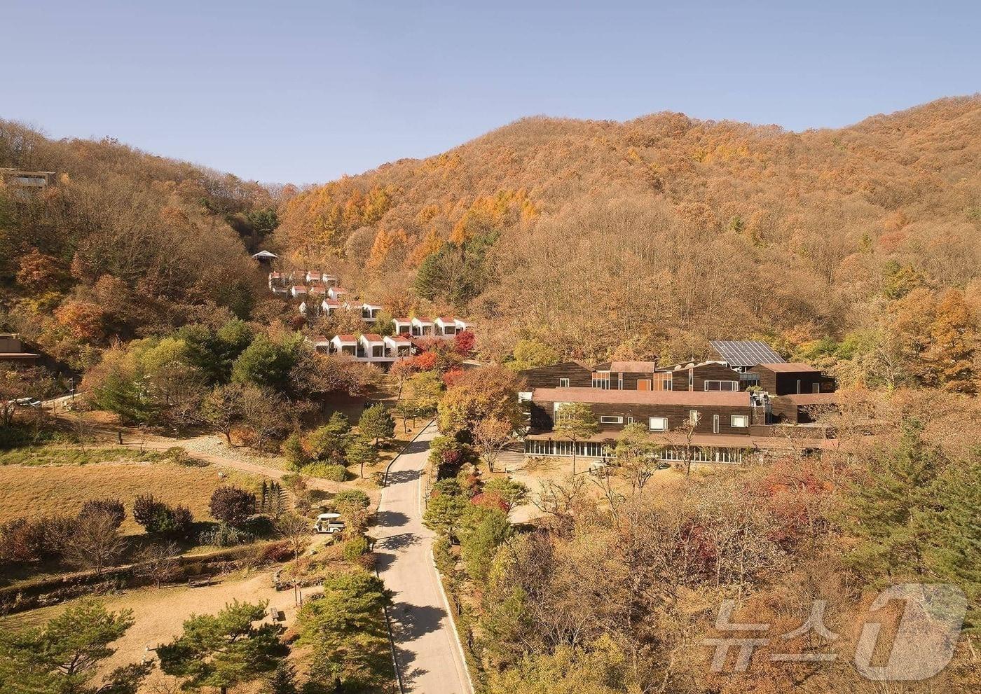 본문 이미지 - 홍천 선마을 가을 전경.(선마을 제공)/뉴스1