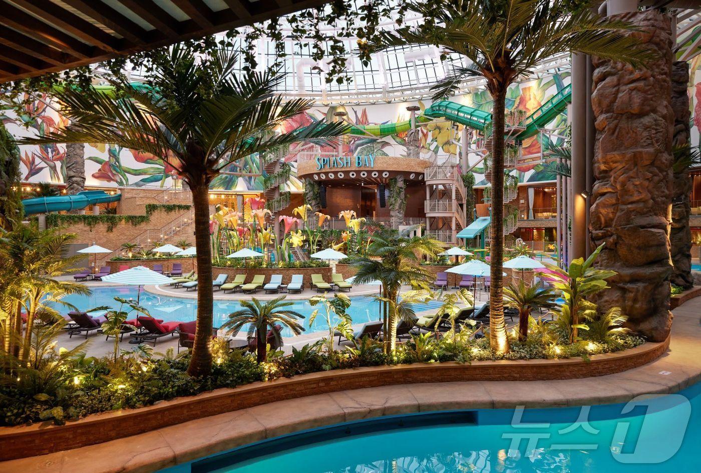 본문 이미지 - 스플래시 베이 (인스파이어 제공)