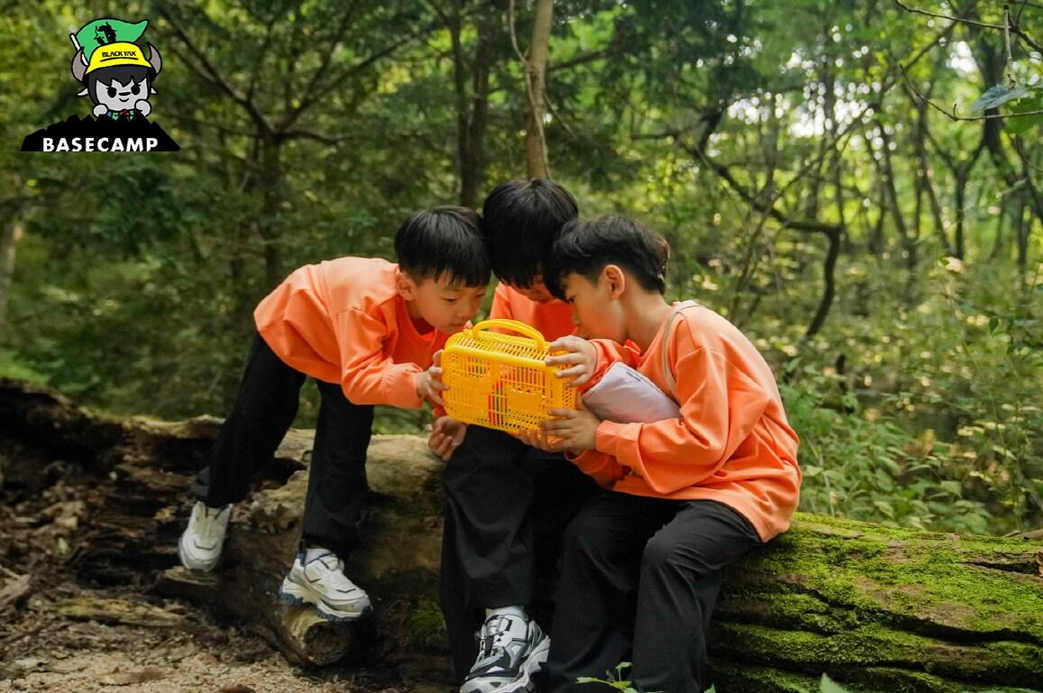 본문 이미지 - 블랙야크 키즈는 23일부터 공식 홈페이지를 통해 서울 도심에서 숲을 탐험할 수 있는 '키즈 베이스캠프 아카데미' 참가자를 모집한다.(블랙야크키즈제공)