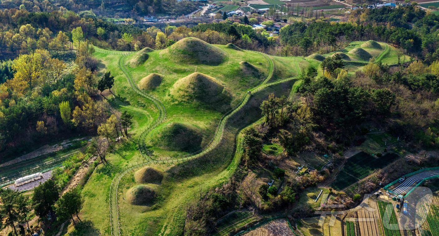 창녕 교동 고분군(창녕군 제공).