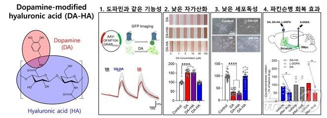 본문 이미지 - DA-HA의 특성을 나타낸 모식도. (안전성평가연구소 제공)/뉴스1