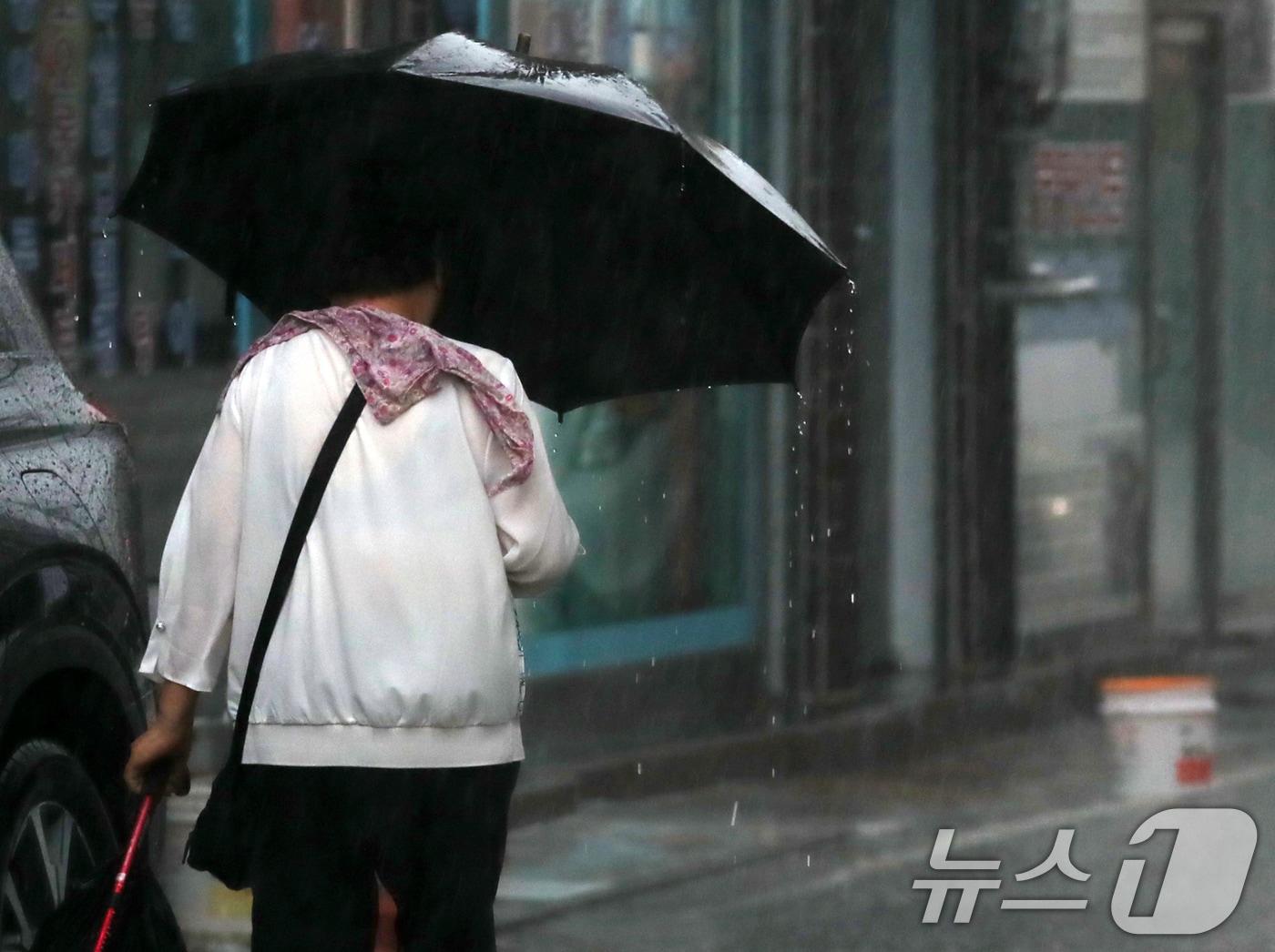 본문 이미지 - 양산 하북면 한 도로에서 우산을 쓴 시민이 이동하고 있다. 2024.9.20/뉴스1 ⓒ News1 윤일지 기자