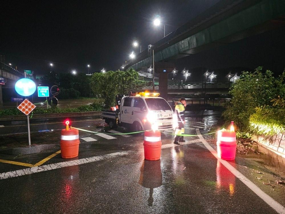 본문 이미지 - 20일  집중호우로 인한 나무전도 현장. (세종시 제공) / 뉴스1