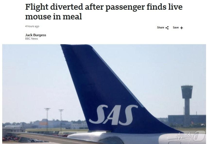 본문 이미지 - 해당 기사 - BBC 갈무리