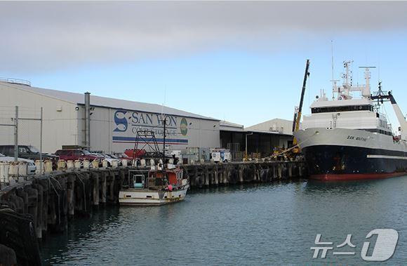 본문 이미지 - 뉴질랜드 티마루항(사진출처:동원수산)(사진은 기사 내용과 관련 없음)