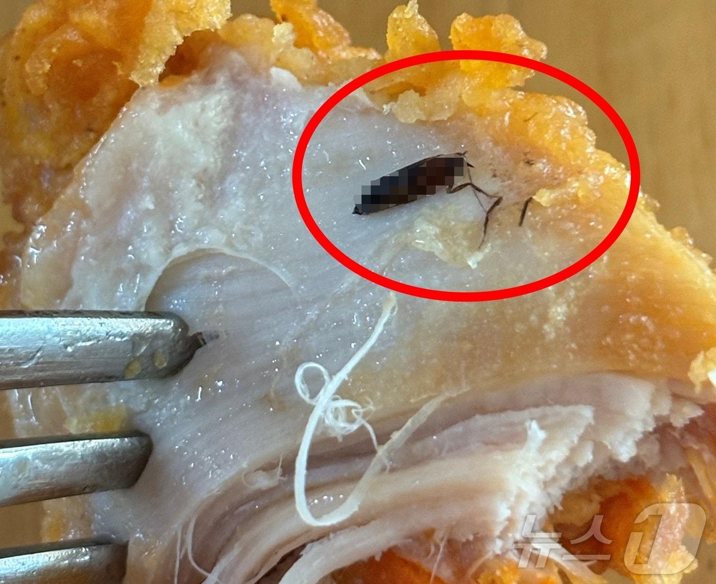 본문 이미지 - (온라인 커뮤니티)