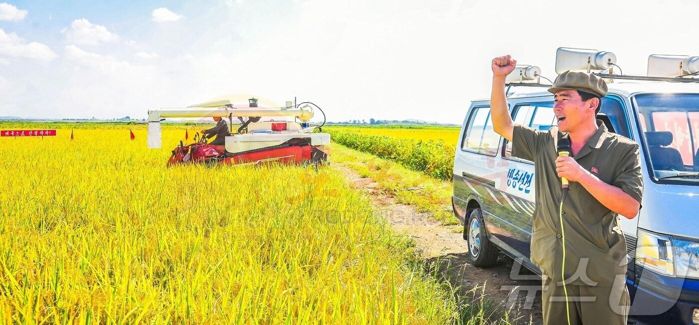 (평양 노동신문=뉴스1) = 북한 노동당 기관지 노동신문은 23일 "농업 근로자들은 열렬한 애국의 마음을 지니고 한 알의 낟알도 허실 없이 거두어들여 나라의 쌀독에 채워 넣어야 한다"라고 강조했다. [국내에서만 사용가능. 재배포 금지. DB 금지. For Use Only in the Republic of Korea. Redistribution Prohibited] rodongphoto@news1.kr