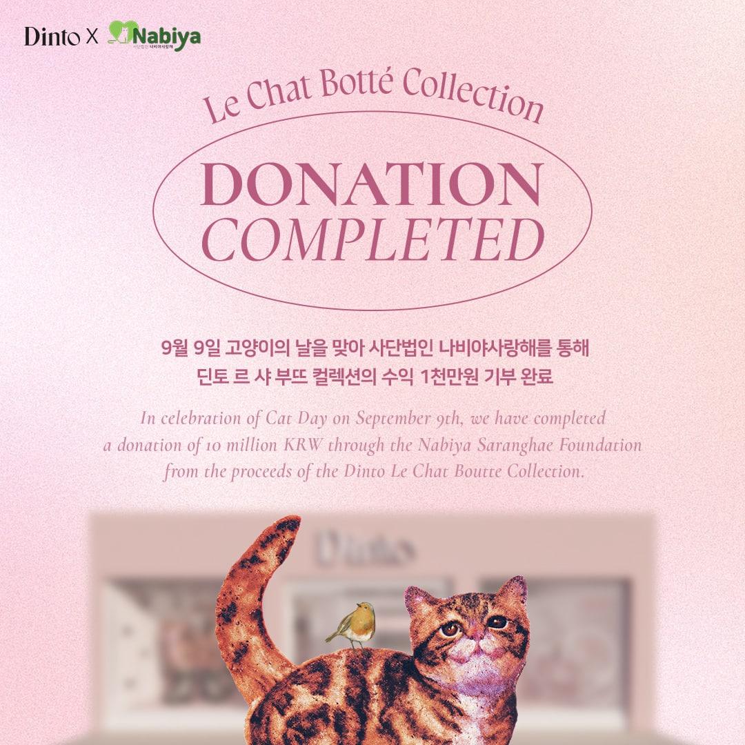 본문 이미지 - 비건 색조 브랜드 '딘토'가 최근 고양이보호단체 '나비야 사랑해'에 제품 판매 수익금 1000만원을 기부했다. (나비야사랑해 제공)