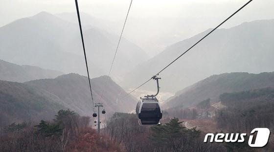 본문 이미지 - 강원 정선 가리왕산 케이블카. (뉴스1 DB)