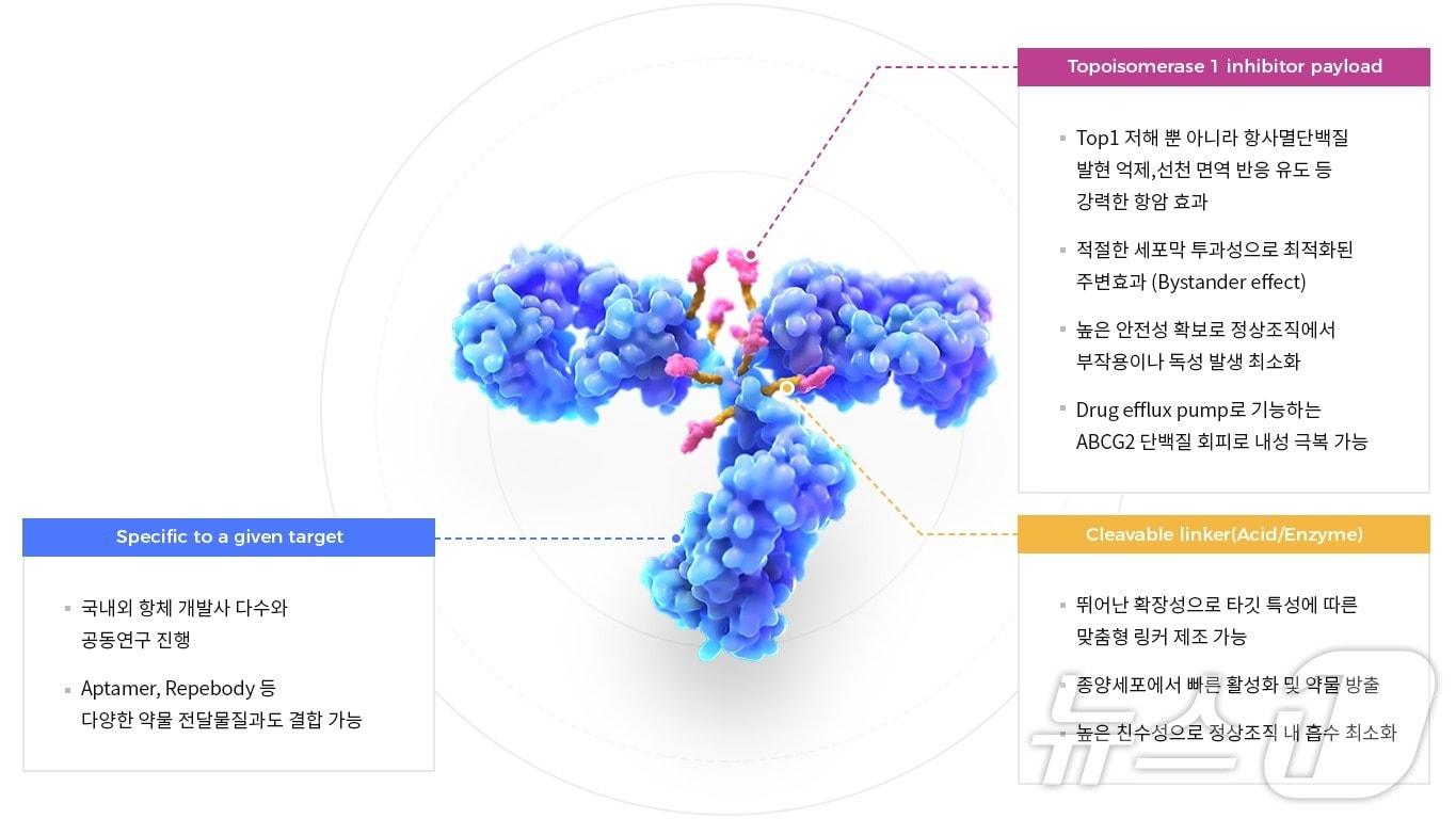 본문 이미지 - 피노바이오의 항체약물접합체(ADC) 플랫폼 '피놋-ADC' 특징.(피노바이오 제공)/뉴스1 ⓒ News1