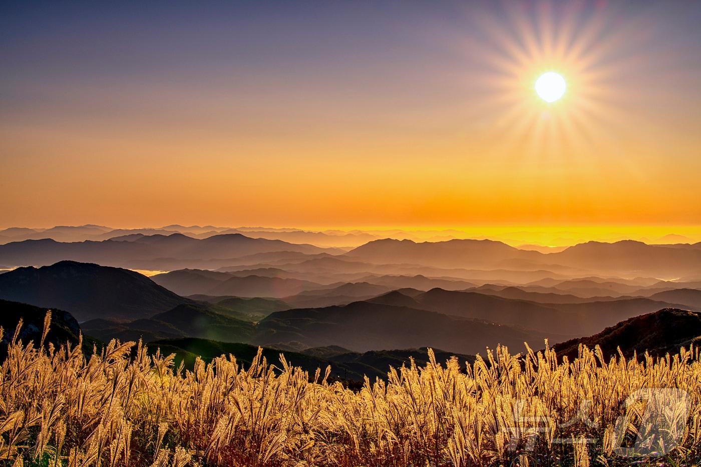 황매산 억새 군락지(합천군 제공).
