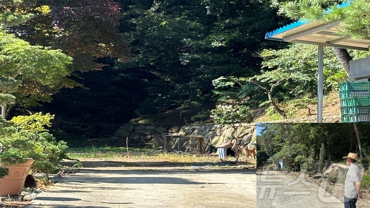 본문 이미지 - 경남 진주 국민보도연맹 및 예비검속 사건의 희생 장소. 명석면 우수리 산84번지 / 진실화해위 제공