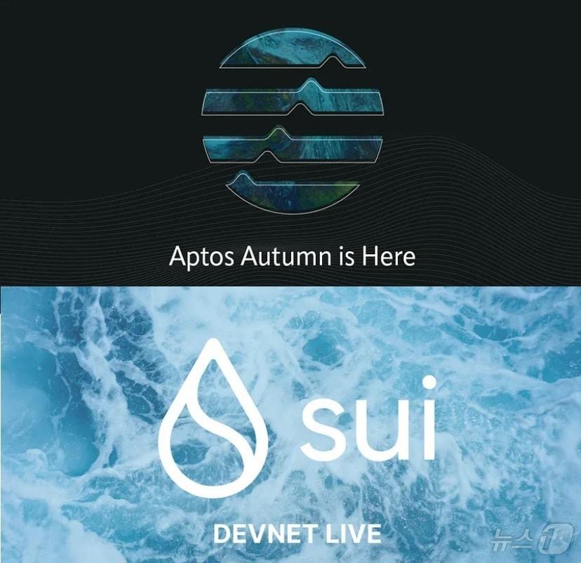 본문 이미지 - 레이어1 블록체인 앱토스와 수이. (미디움 커뮤니티 갈무리)