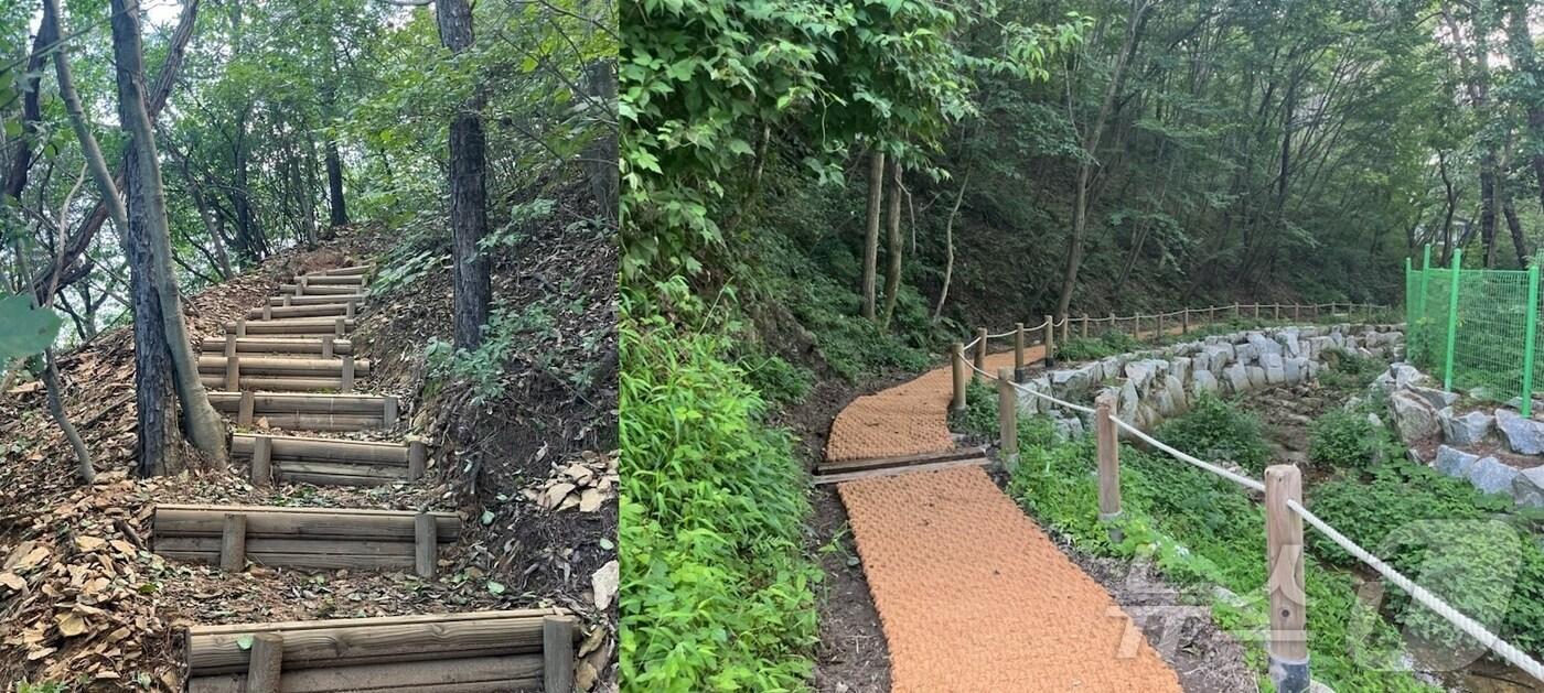 본문 이미지 - 전주시 학산 숲길에 설치된 목재 계단과 야자매트 모습.(전북자치도 제공)/뉴스1