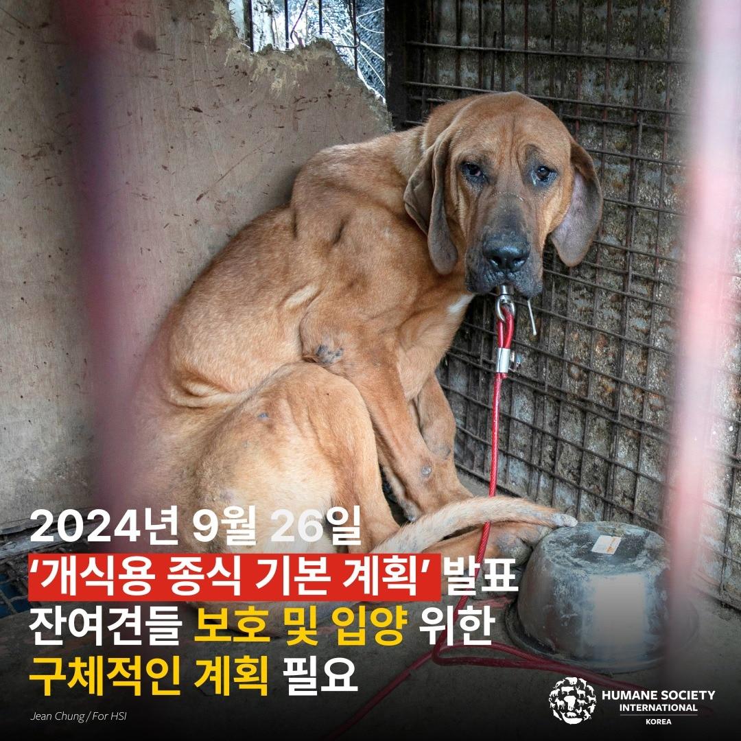 본문 이미지 - 한국HSI 제공 ⓒ 뉴스1