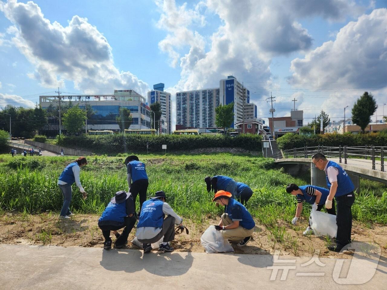 본문 이미지 - 한국도로공사 강원본부 직원 20명이 26일 강원 원주천 일대에서 플로깅 봉사활동을 펼치는 모습. (한국도로공사 강원본부 제공) 2024.9.26/뉴스1