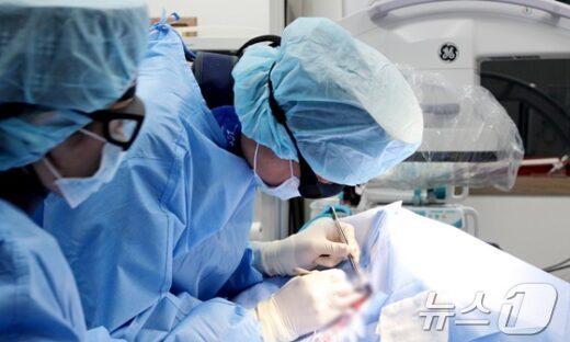 본문 이미지 - 검역탐지견 은퇴견 블랙이 수술 중인 해마루동물병원 인터벤션센터 전성훈 센터장(해마루 제공) ⓒ 뉴스1