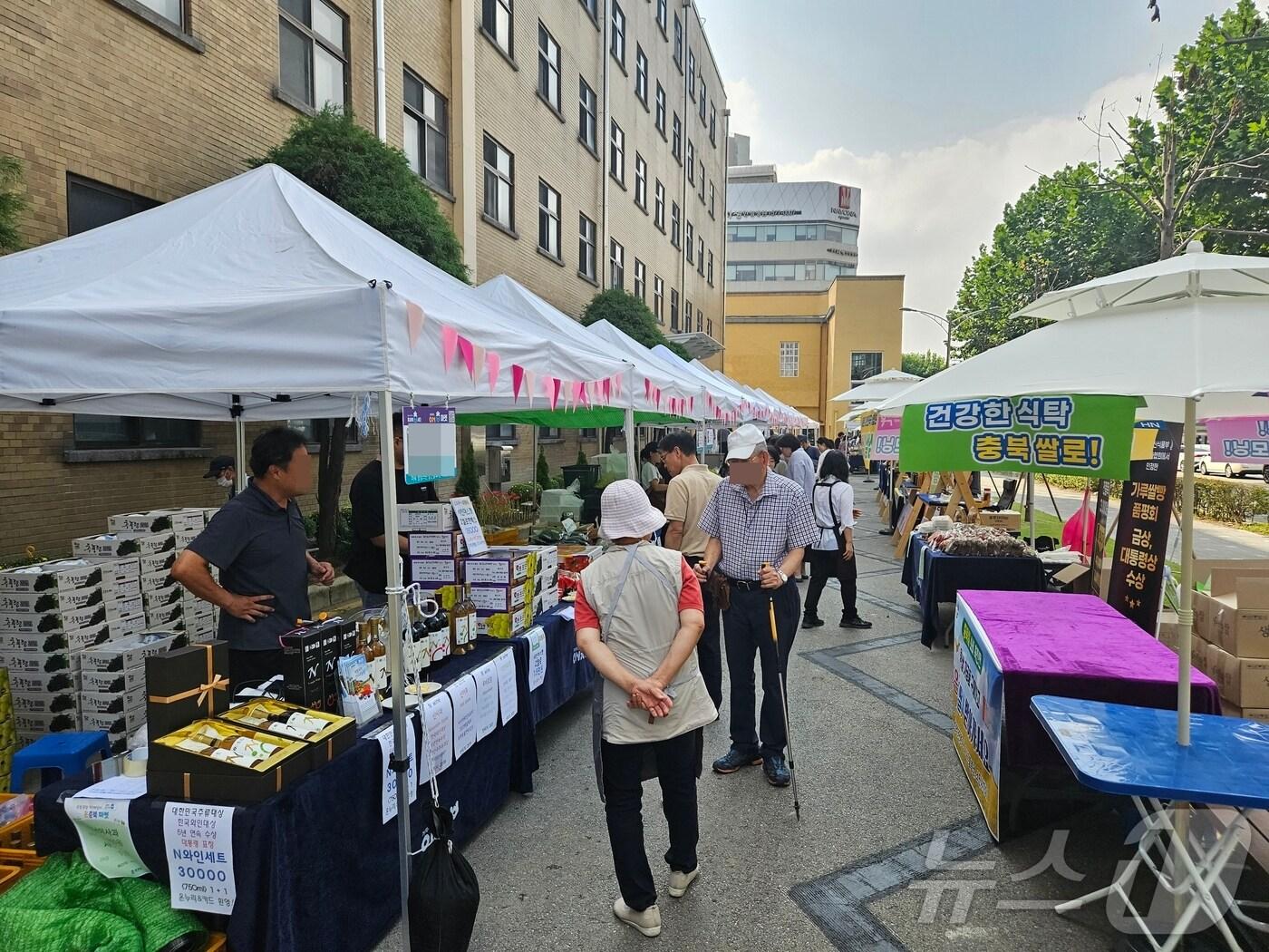 본문 이미지 - 온충북마켓이 열리고 있는 충북도청 쌈지광장.2024.9.27/뉴스1 이재규 기자 