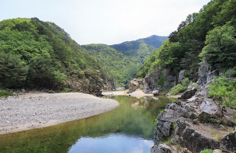 본문 이미지 -  울진 왕피천 계곡.