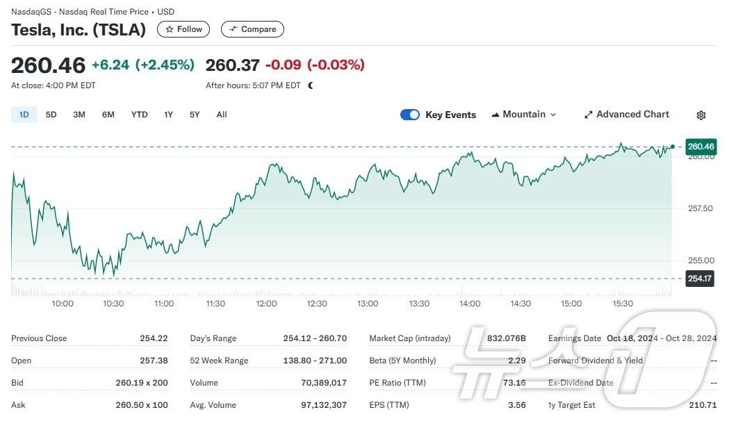 본문 이미지 - 테슬라 일일 주가추이 - 야후 파이낸스 갈무리