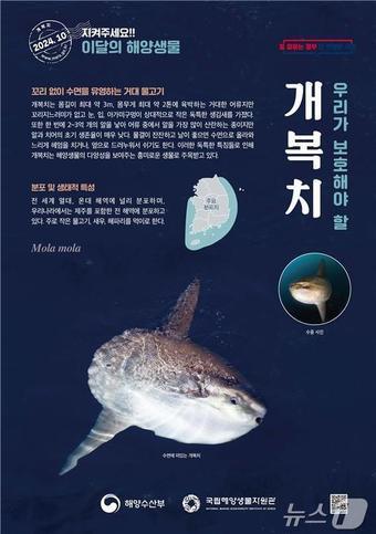 본문 이미지 - (해양수산부 제공)