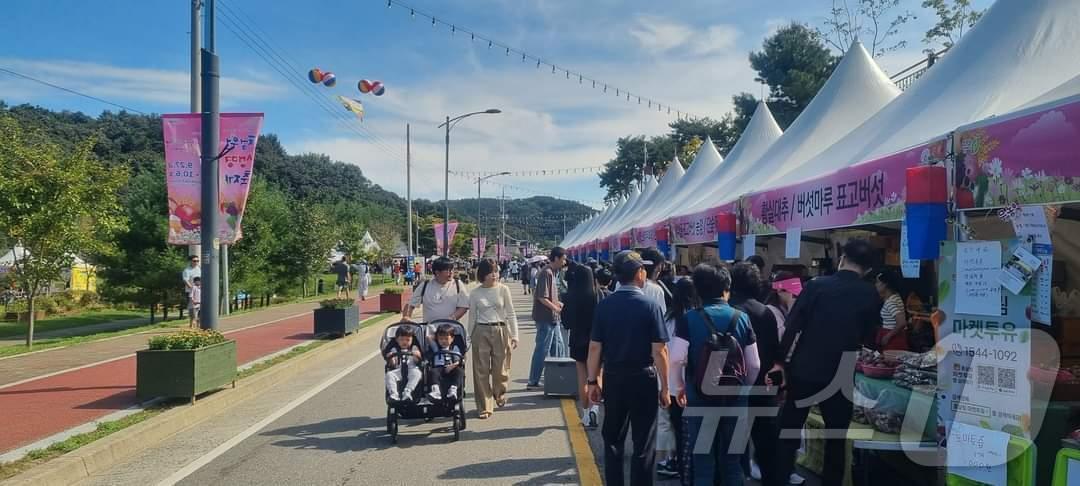 본문 이미지 - 충북 청주시가 주최한 청원생명축제장을 찾은 나들이객들이 농산물 직거래 장터를 둘러보고 있다. (독자 제공) /뉴스1 