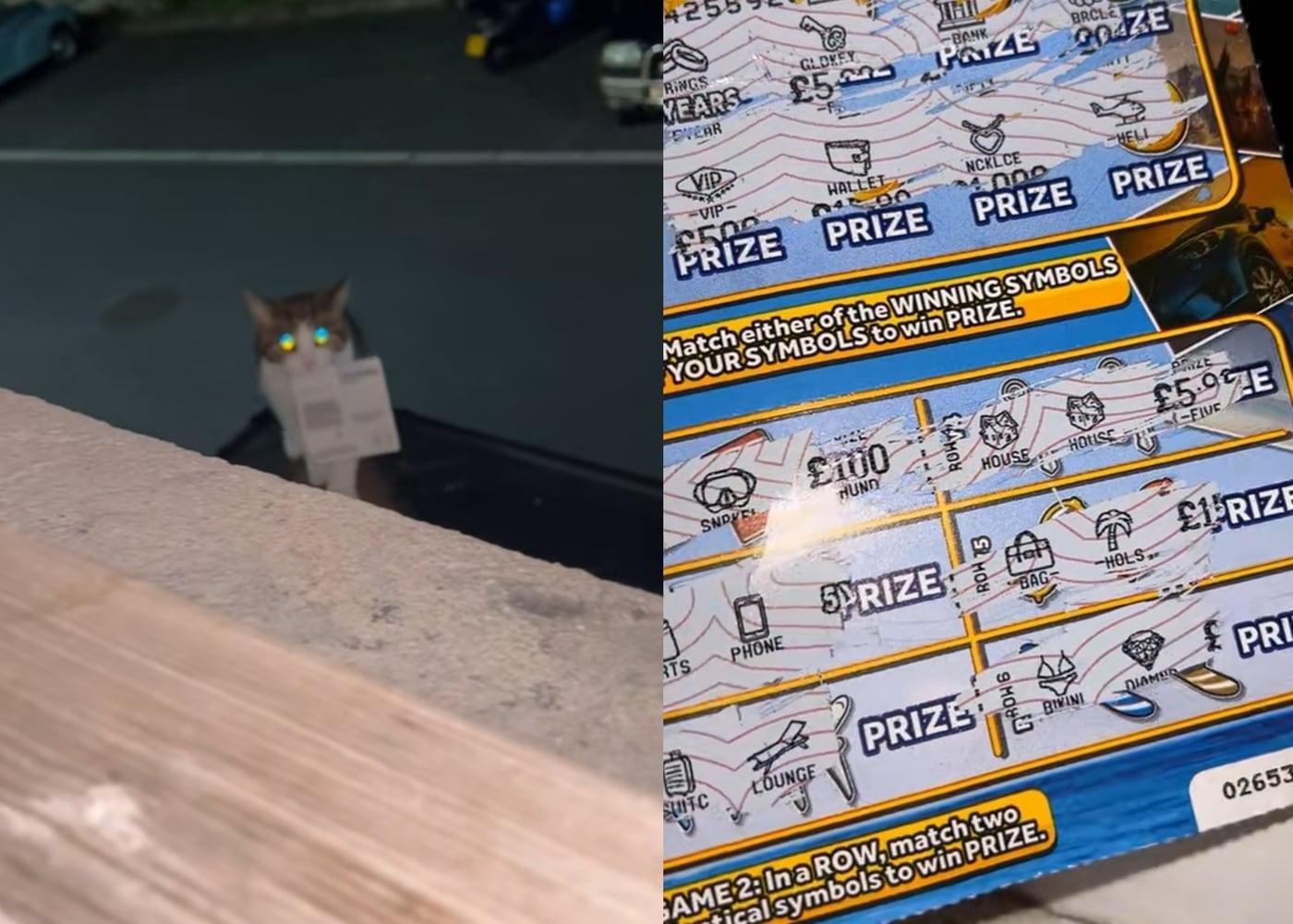 본문 이미지 - (틱톡 갈무리)