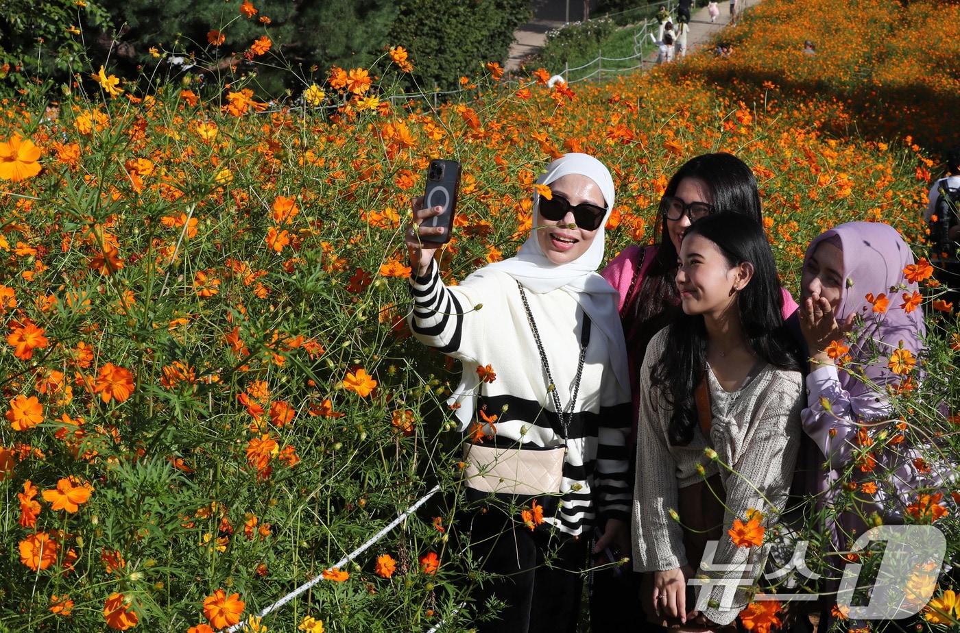 완연한 가을 날씨를 보인 29일 서울 송파구 올림픽공원을 찾은 외국인 관광객들이 활짝 핀 노랑(황화)코스모스와 함께 기념사진을 찍고 있다. 2024.9.29/뉴스1 ⓒ News1 박세연 기자