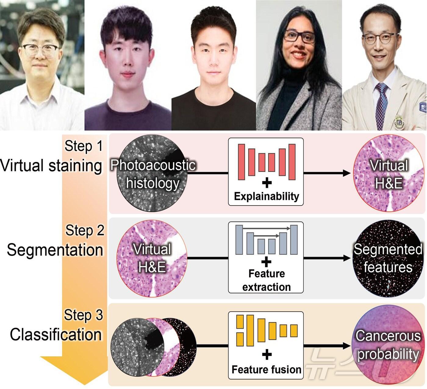본문 이미지 - 포스텍과 가톨릭대 의대 서울성모병원 연구팀이 사람의 간암 조직검사를 위한 비표지 광(光) 음향조직 영상 분석 인공지능(AI) 시스템을 개발했다. 왼쪽부터 김철홍.윤치호.박은우.SampaMisra.정찬권 교수.(포스텍 제공) 2024.9.3/뉴스1 