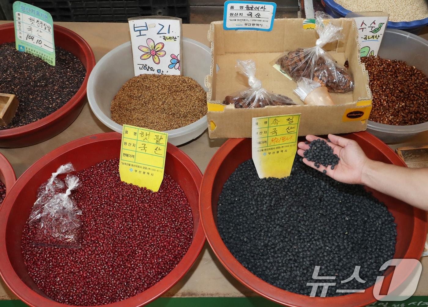 본문 이미지 - 원산지 표시 단속.(사진은 기사 내용과 무관함) / 뉴스1 ⓒ News1