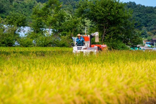 본문 이미지 - 자료사진/뉴스1