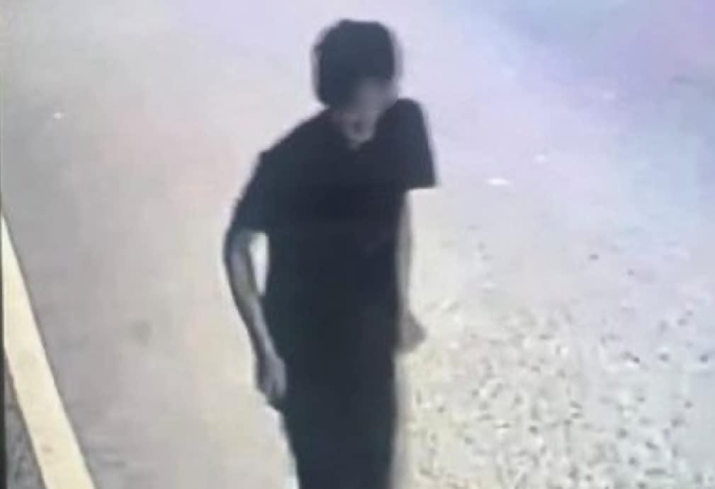 본문 이미지 - &#40;YTN 뉴스 갈무리&#41;