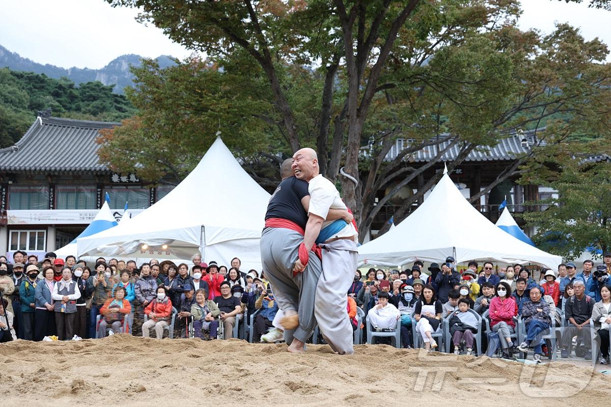 본문 이미지 - 지난해 열린 팔공산 동화사에서 열린 승시축제에 스님들이 씨름 대결을 펼치고 있다.(대구시 제공)