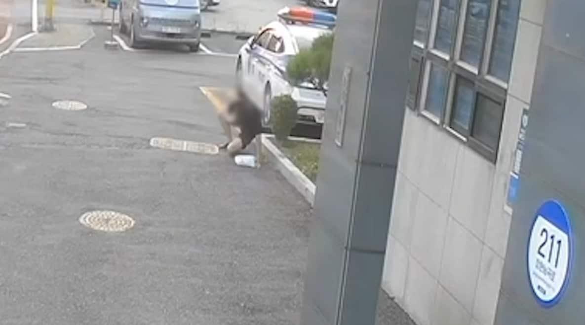 본문 이미지 -  경기 시흥경찰서 능곡파출소 앞에 쓰러져 있는 A 씨. (시흥경찰서 제공) 2024.9.30/뉴스1