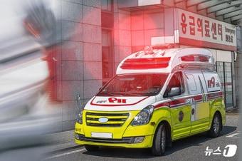 본문 이미지 - ⓒ News1 