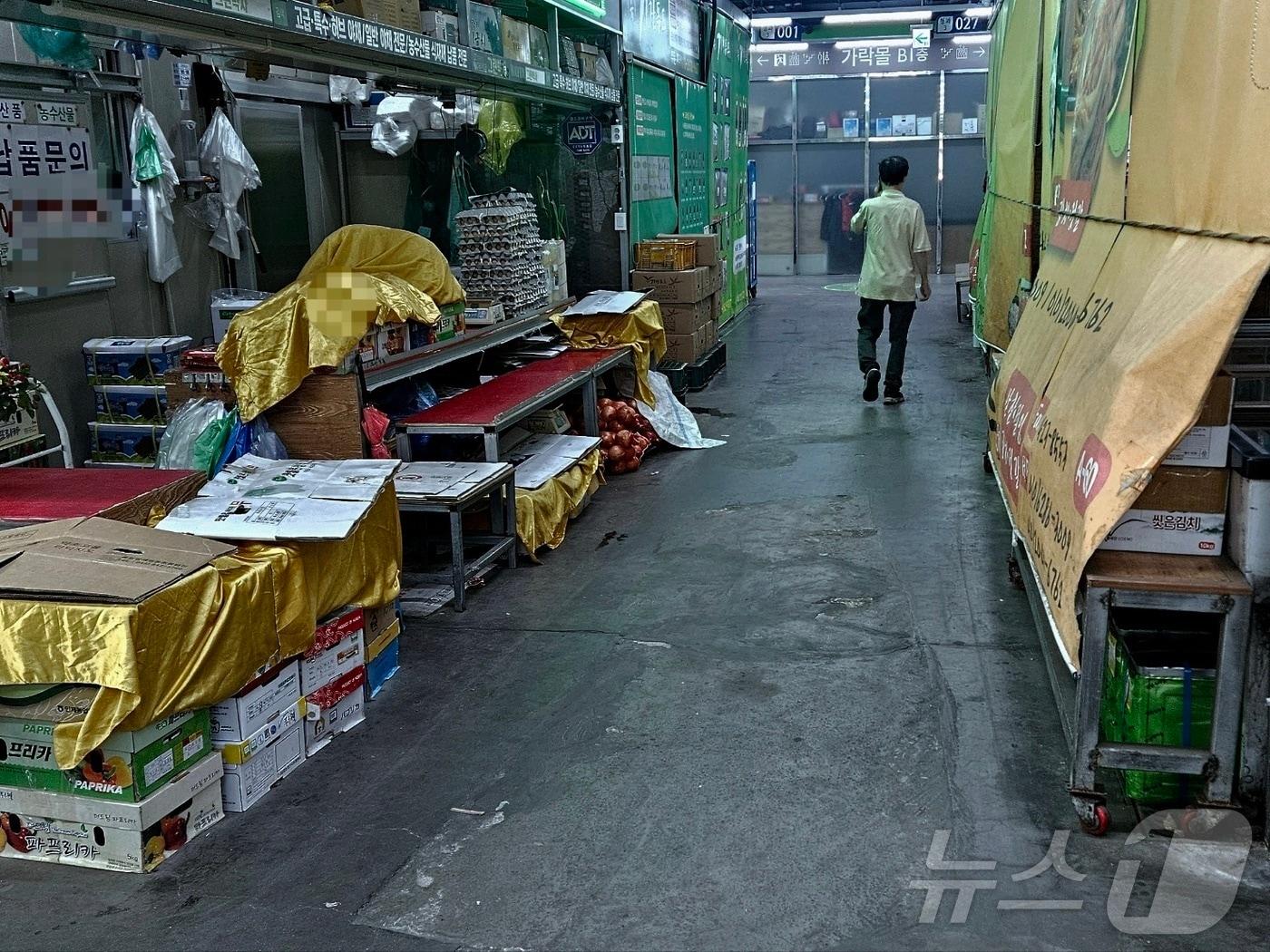 본문 이미지 - 30일 오전 서울 송파구 가락시장 청과 구역. 이날 만난 상인들은 "배춧값이 너무 올라서 가게에 가져다 놓지도 못하고 있다"고 전했다.  2024.9.30/뉴스1 ⓒ News1 장시온 기자