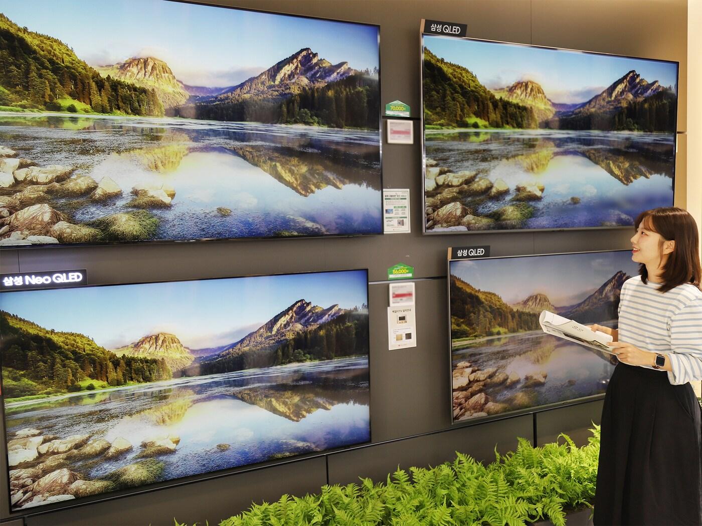 본문 이미지 - (롯데하이마트 제공). 