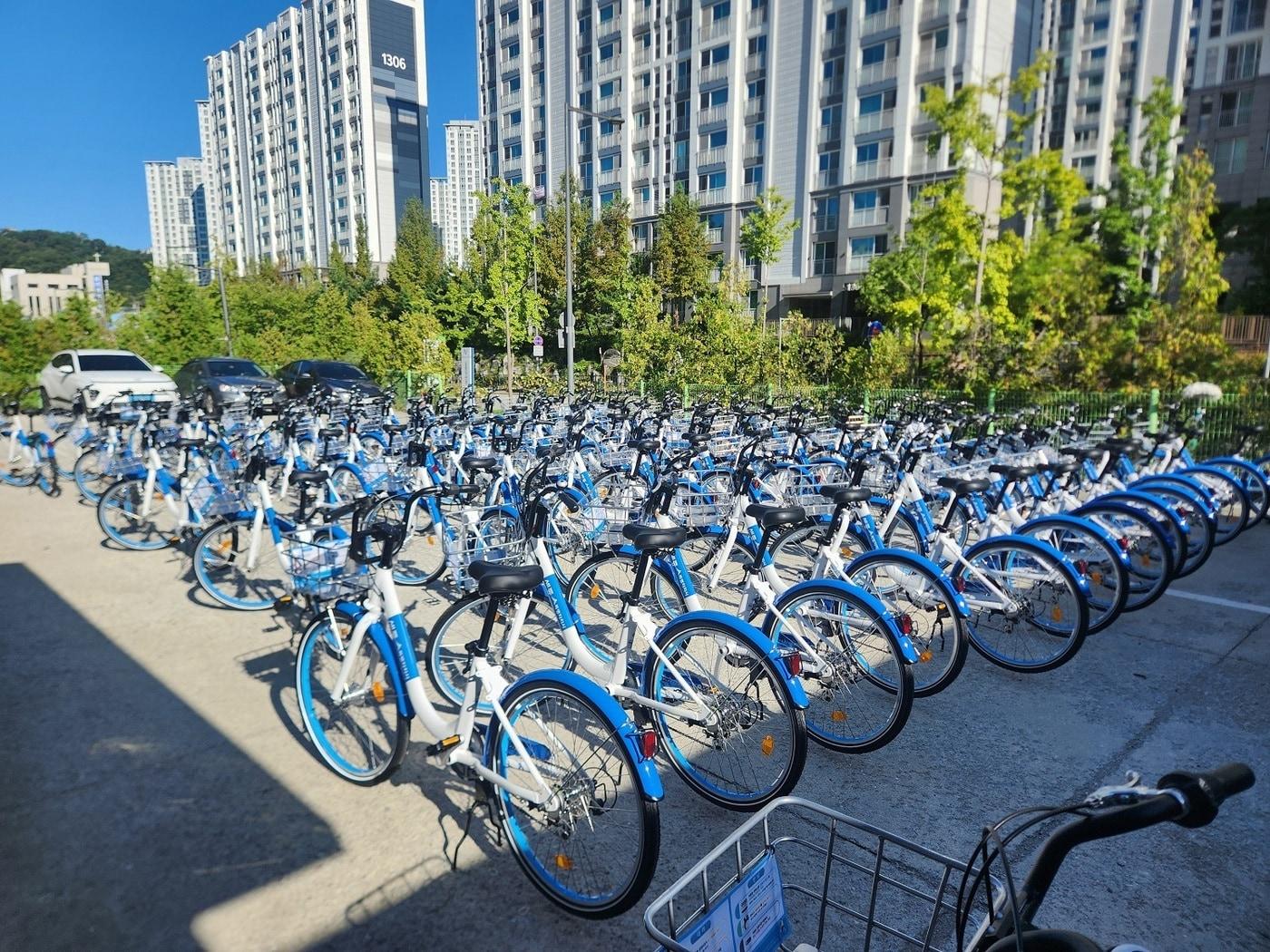 본문 이미지 - 신규 도입되는 어울링. (세종시 제공) / 뉴스1