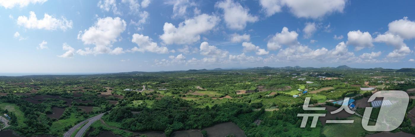 제주 제2공항 예정지인 서귀포 성산읍(자료사진)/뉴스1
