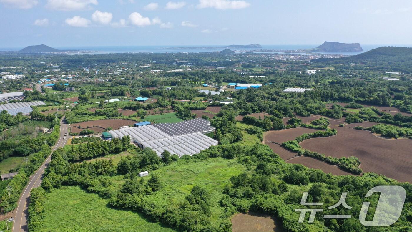 드론으로 본 제주 제2공항 건설사업 예정지인 서귀포시 성산읍.2024.9.5/뉴스1 ⓒ News1 고동명 기자