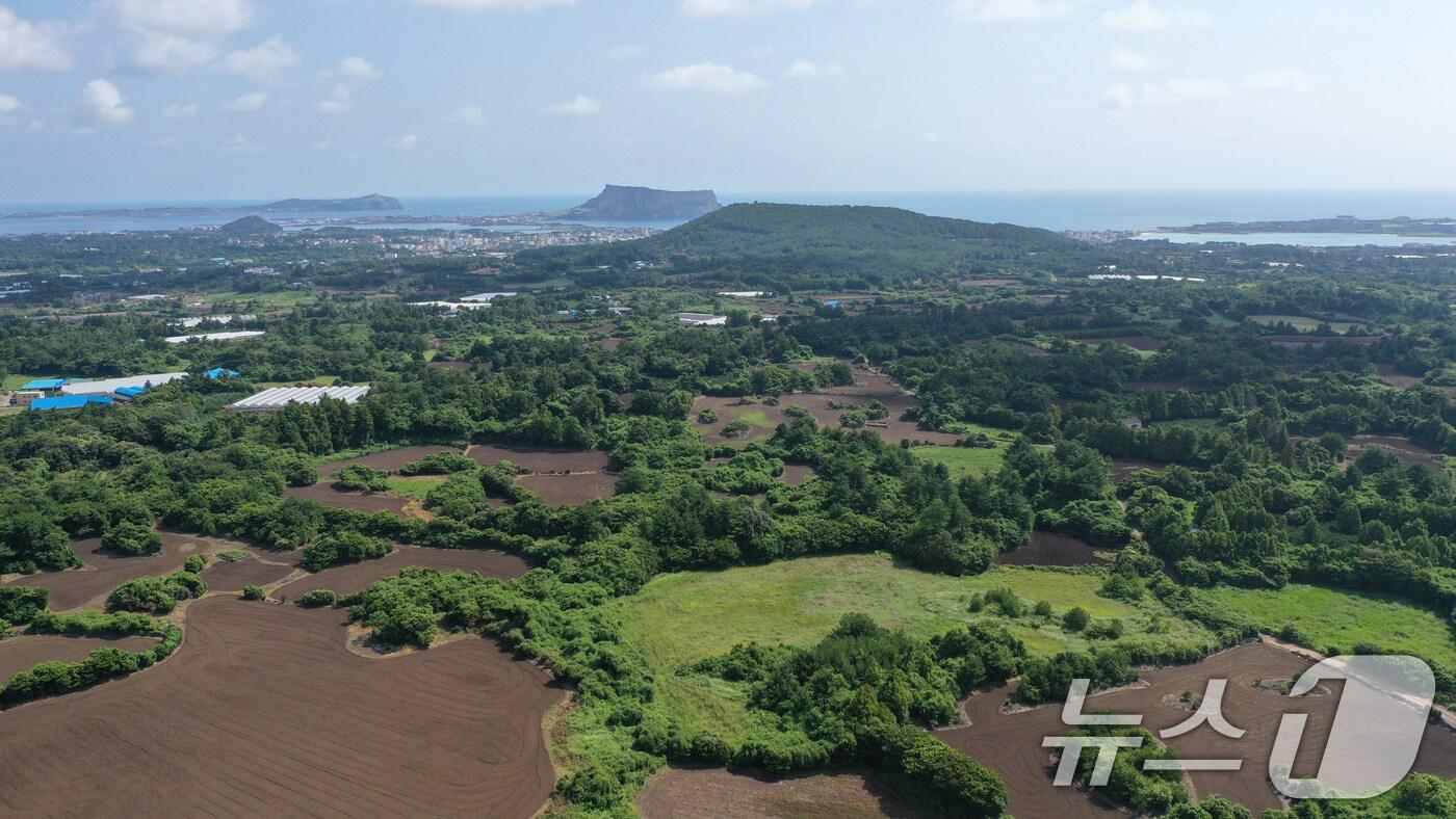 제2공항 예정 부지인 서귀포시 성산읍 일대를 드론 촬영한 모습&#40;자료사진&#41;ⓒ News1 