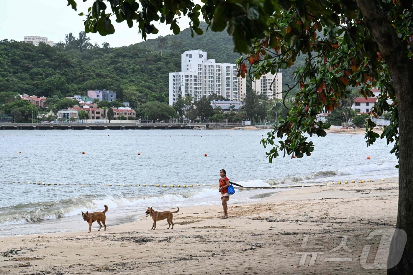 태풍 '야기'가 6일 중국 하이난섬 지역으로 이동해 홍콩은 큰 피해를 입지 않았다. 사진은 홍콩 란타우섬 해변에서 한 여성이 개를 산책시키는 모습. 2024.09.06 ⓒ AFP=뉴스1 ⓒ News1 유수연 기자