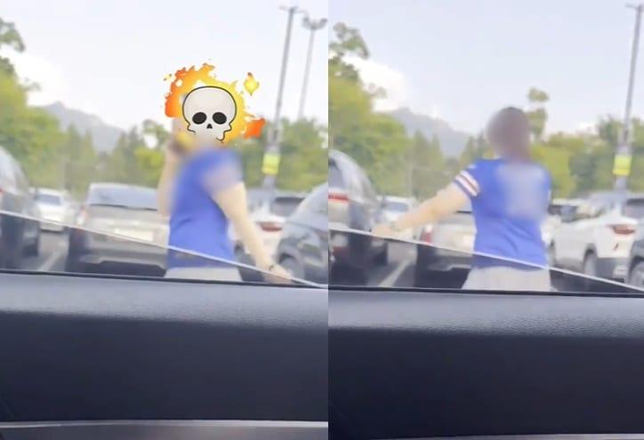 본문 이미지 - (보배드림 갈무리)